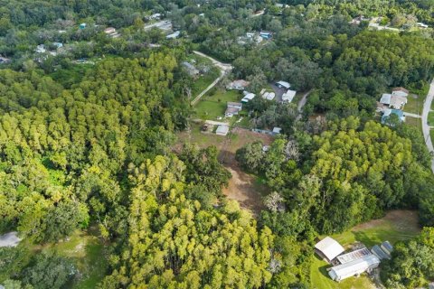 Villa ou maison à vendre à New Port Richey, Floride: 3 chambres, 140.28 m2 № 2407150 - photo 12