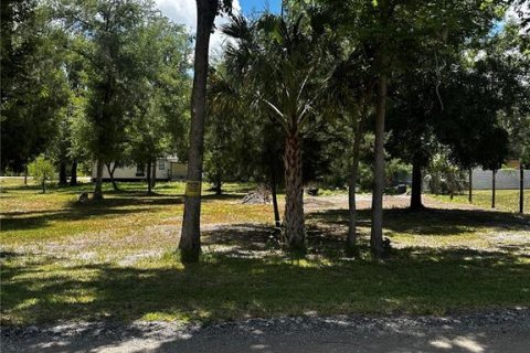 Land in New Port Richey, Florida № 2158866 - photo 2