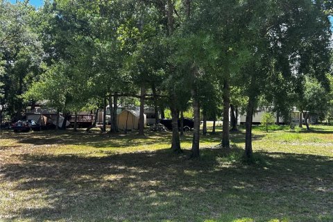 Land in New Port Richey, Florida № 2158866