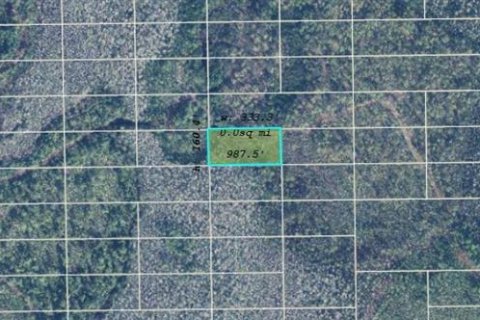 Land in Orlando, Florida № 2163613 - photo 2