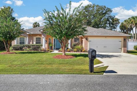 Villa ou maison à Palm Coast, Floride 4 chambres, 208.38 m2 № 2433359