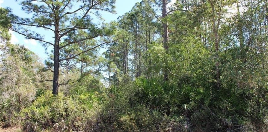 Land in Eustis, Florida № 1893654