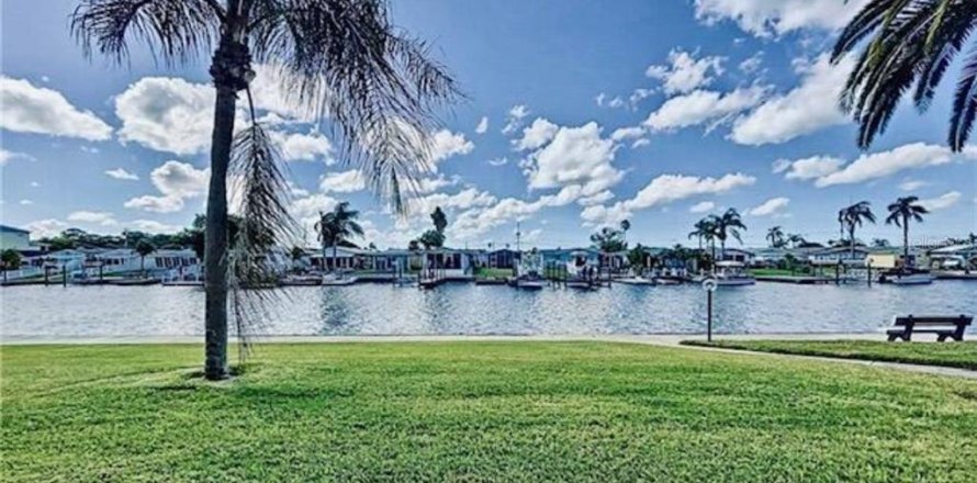 Condo in New Port Richey, Florida, 2 bedrooms  № 1520809