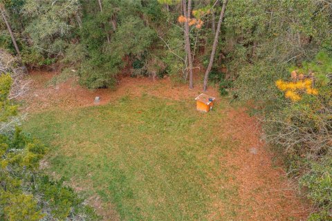 Immobilier commercial à vendre à Jacksonville, Floride: 186.73 m2 № 1915797 - photo 11
