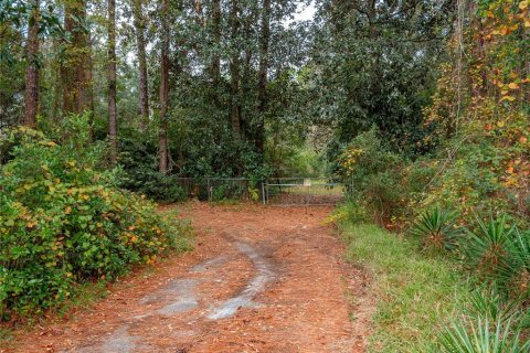 Immobilier commercial à vendre à Jacksonville, Floride: 186.73 m2 № 1915797 - photo 6