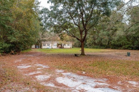 Immobilier commercial à vendre à Jacksonville, Floride: 186.73 m2 № 1915797 - photo 3