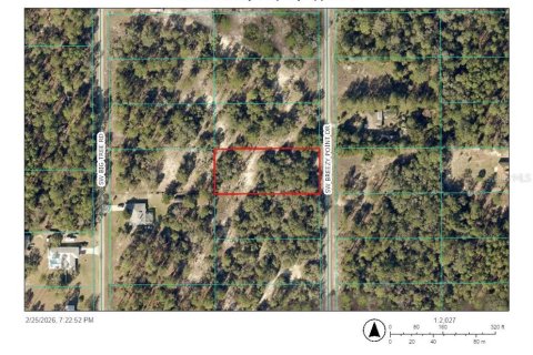 Land in Dunnellon, Florida № 2165593 - photo 2