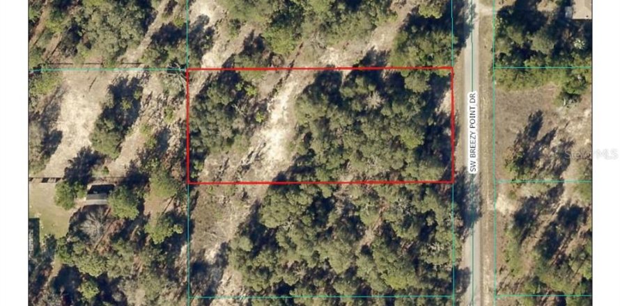 Land in Dunnellon, Florida № 2165593