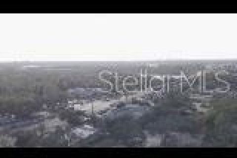 Commercial property in Seffner, Florida № 1724336 - photo 18