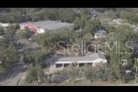 Commercial property in Seffner, Florida № 1724336 - photo 26