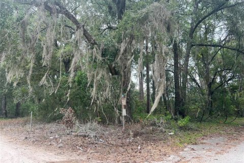 Terreno en venta en High Springs, Florida № 742911 - foto 2