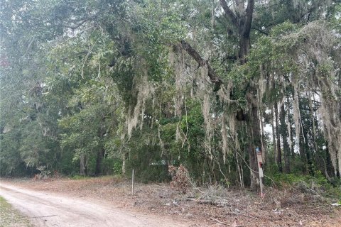 Terreno en venta en High Springs, Florida № 742911 - foto 5