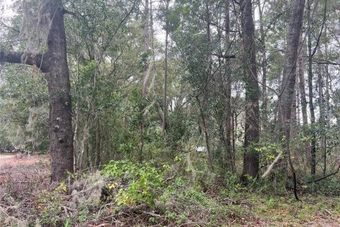 Terreno en venta en High Springs, Florida № 742911 - foto 3