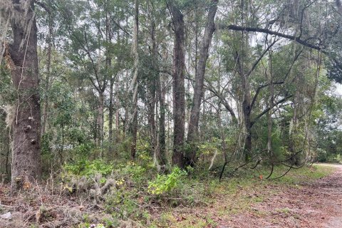 Terreno en venta en High Springs, Florida № 742911 - foto 4