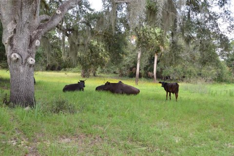 House in Arcadia, Florida 2 bedrooms, 61.32 sq.m. № 1807463 - photo 28