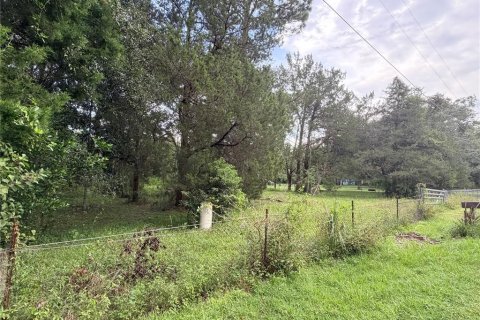 Land in Brooksville, Florida № 2371568 - photo 3