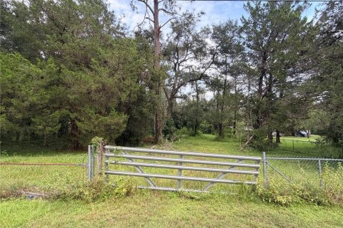 Land in Brooksville, Florida № 2371568 - photo 2