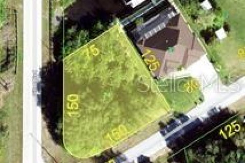 Land in Port Charlotte, Florida № 2105608 - photo 2
