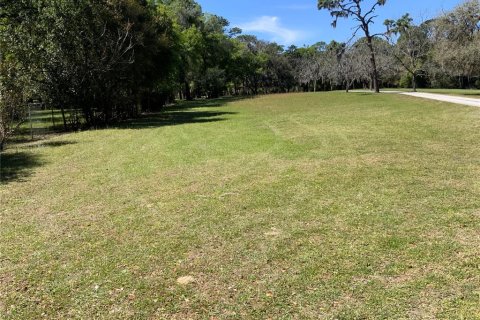Terreno en venta en Dunnellon, Florida № 1751758 - foto 6