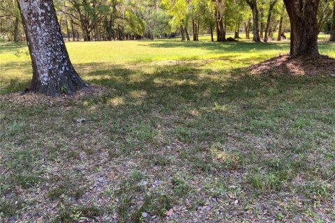 Terreno en venta en Dunnellon, Florida № 1751758 - foto 7