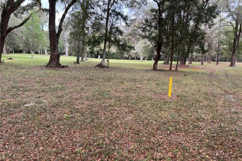 Terreno en venta en Dunnellon, Florida № 1751758 - foto 10