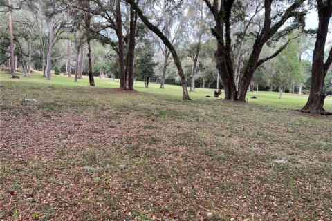 Terreno en venta en Dunnellon, Florida № 1751758 - foto 9
