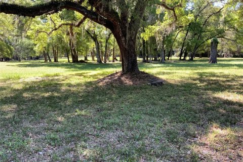 Terreno en venta en Dunnellon, Florida № 1751758 - foto 8