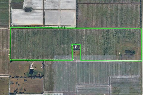 Terreno en Arcadia, Florida № 2317237