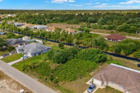 Land in Lehigh Acres, Florida № 1690623 - photo 3