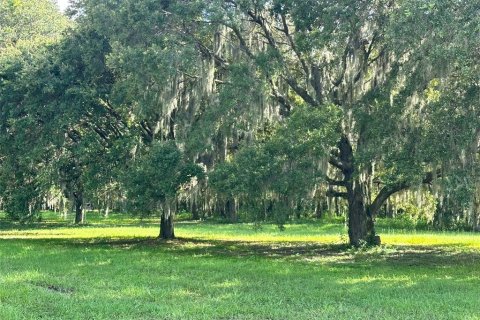 Land in Wesley Chapel, Florida № 1317477 - photo 6