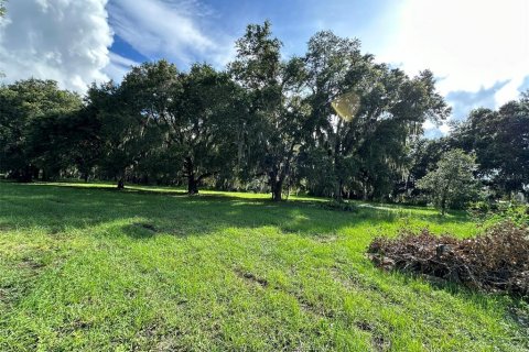 Land in Wesley Chapel, Florida № 1317477 - photo 4