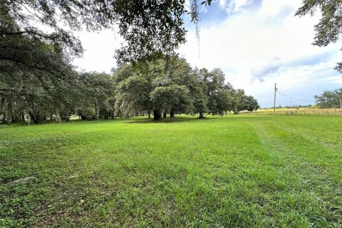 Land in Wesley Chapel, Florida № 1317477 - photo 9