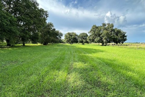 Land in Wesley Chapel, Florida № 1317477 - photo 3