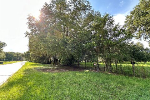 Land in Wesley Chapel, Florida № 1317477 - photo 2