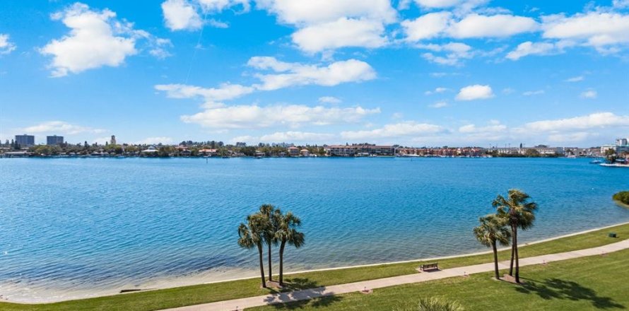 Condo à Saint Pete Beach, Floride, 2 chambres  № 1719576