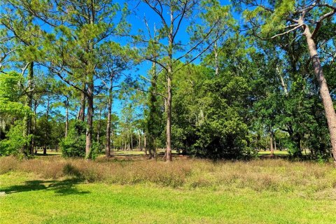 House in Orlando, Florida 4 bedrooms, 329.99 sq.m. № 1716443 - photo 17