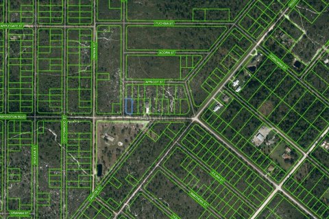 Land in Lake Placid, Florida № 2224050