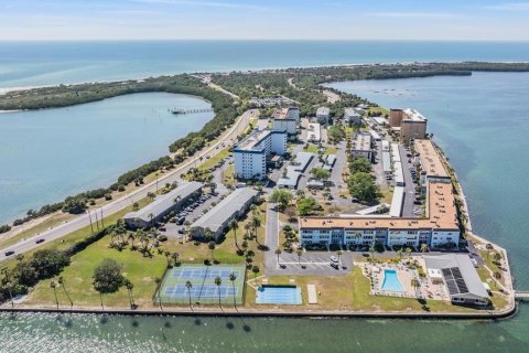 Condo in Dunedin, Florida, 2 bedrooms  № 1869128 - photo 25