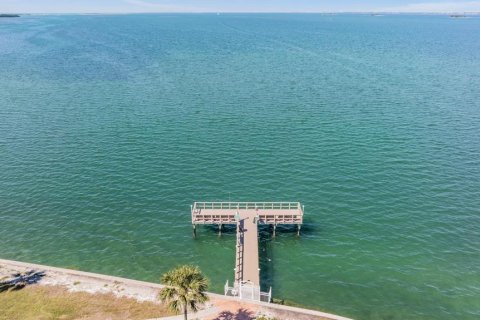Condo in Dunedin, Florida, 2 bedrooms  № 1869128 - photo 24
