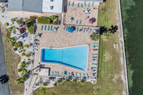 Condo in Dunedin, Florida, 2 bedrooms  № 1869128 - photo 23