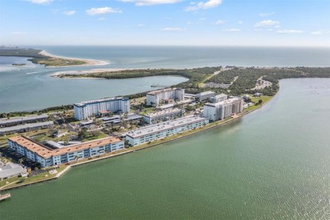 Condo in Dunedin, Florida, 2 bedrooms  № 1869128 - photo 5