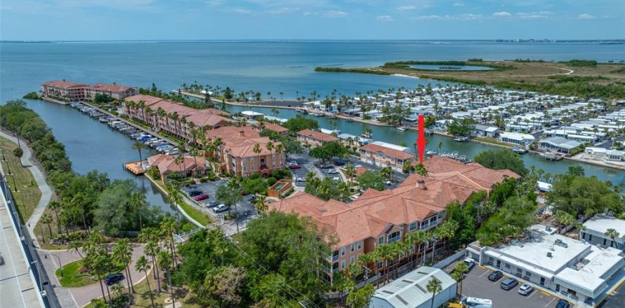 Condo à Tampa, Floride, 1 chambre № 2151454