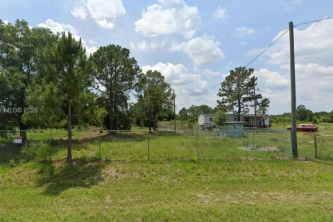 Terrain à Clewiston, Floride № 2154092