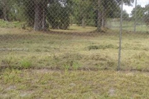 Terrain à vendre à Clewiston, Floride № 2154092 - photo 3