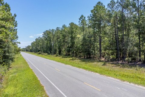 Land in Keystone Heights, Florida № 766290 - photo 1