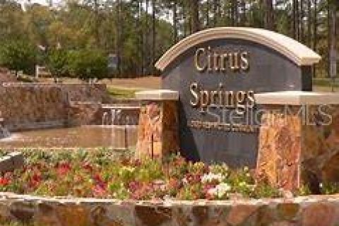 House in Citrus Springs, Florida 4 bedrooms, 196.67 sq.m. № 1508908 - photo 7