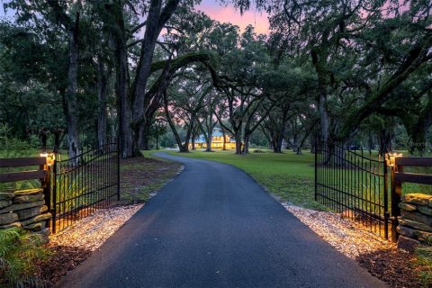 Casa en venta en Gainesville, Florida, 5 dormitorios, 486.9 m2 № 1825451 - foto 7