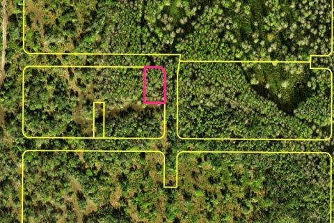 Land in Punta Gorda, Florida № 2213246 - photo 2