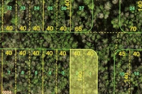 Land in Punta Gorda, Florida № 2213246 - photo 5