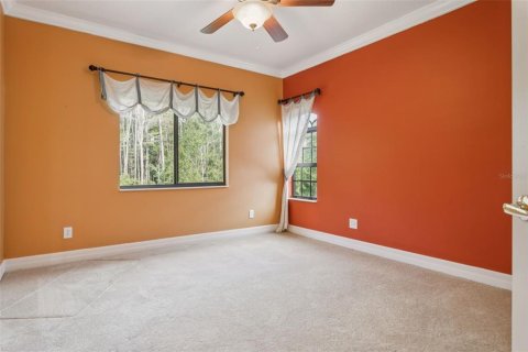 House in Land O' Lakes, Florida 6 bedrooms, 402.82 sq.m. № 1883441 - photo 26